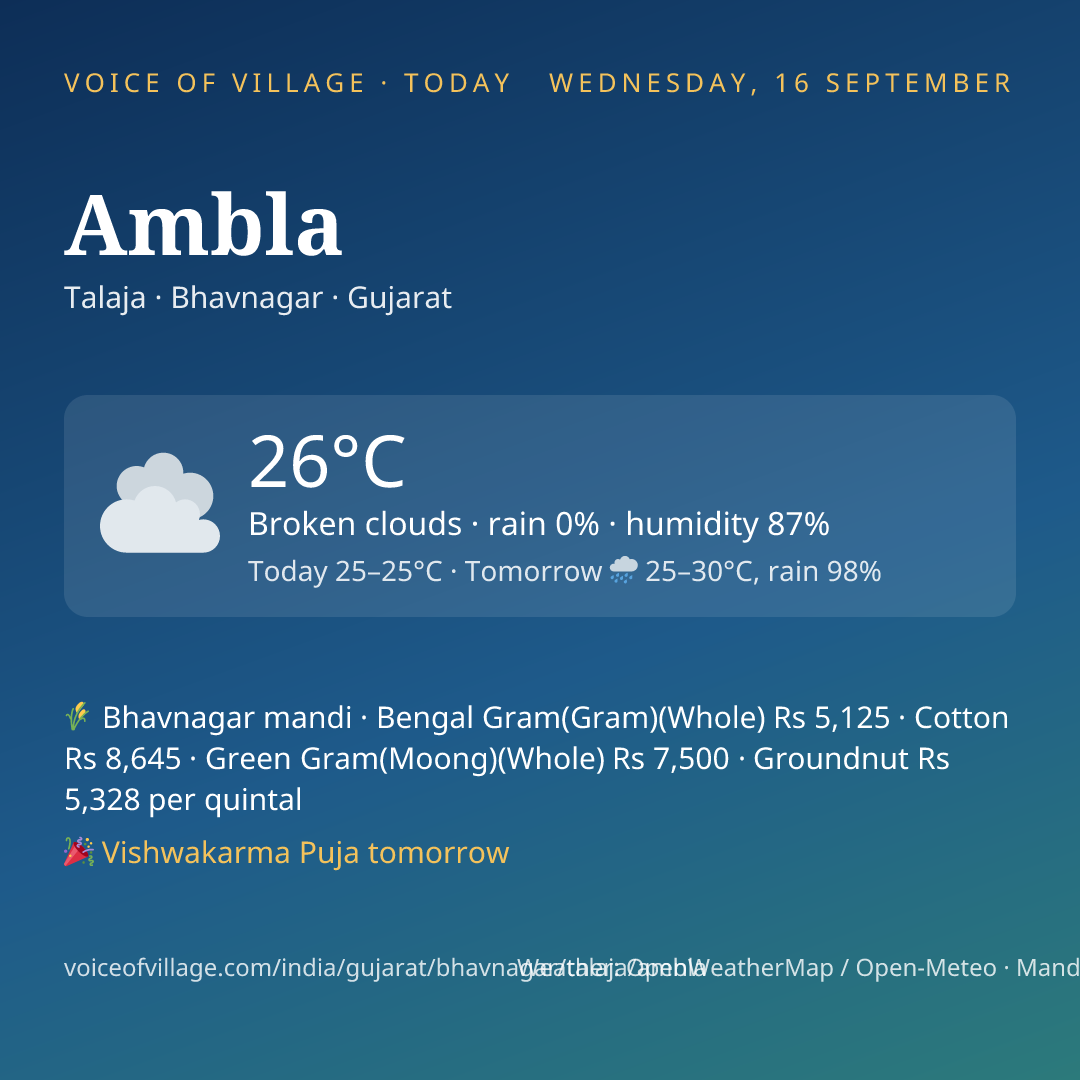 Ambla today