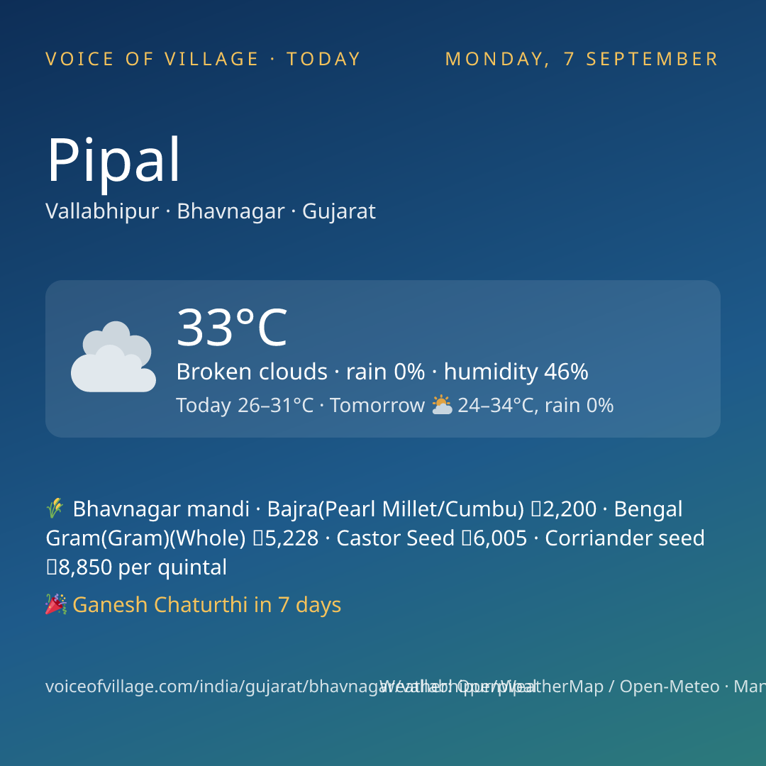 Pipal today