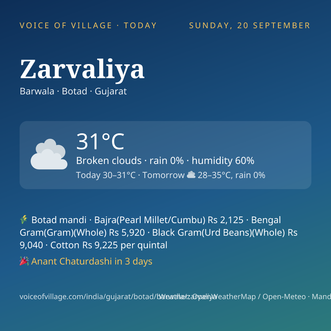 Zarvaliya today