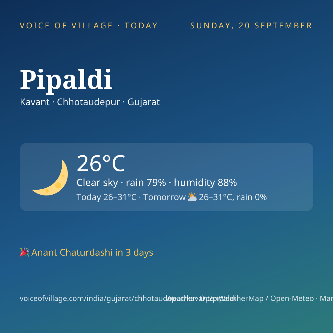 Pipaldi today