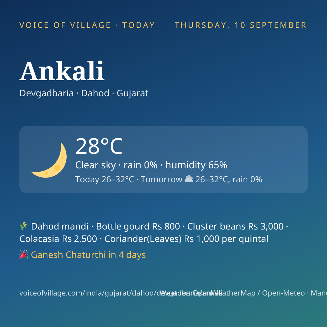 Ankali today