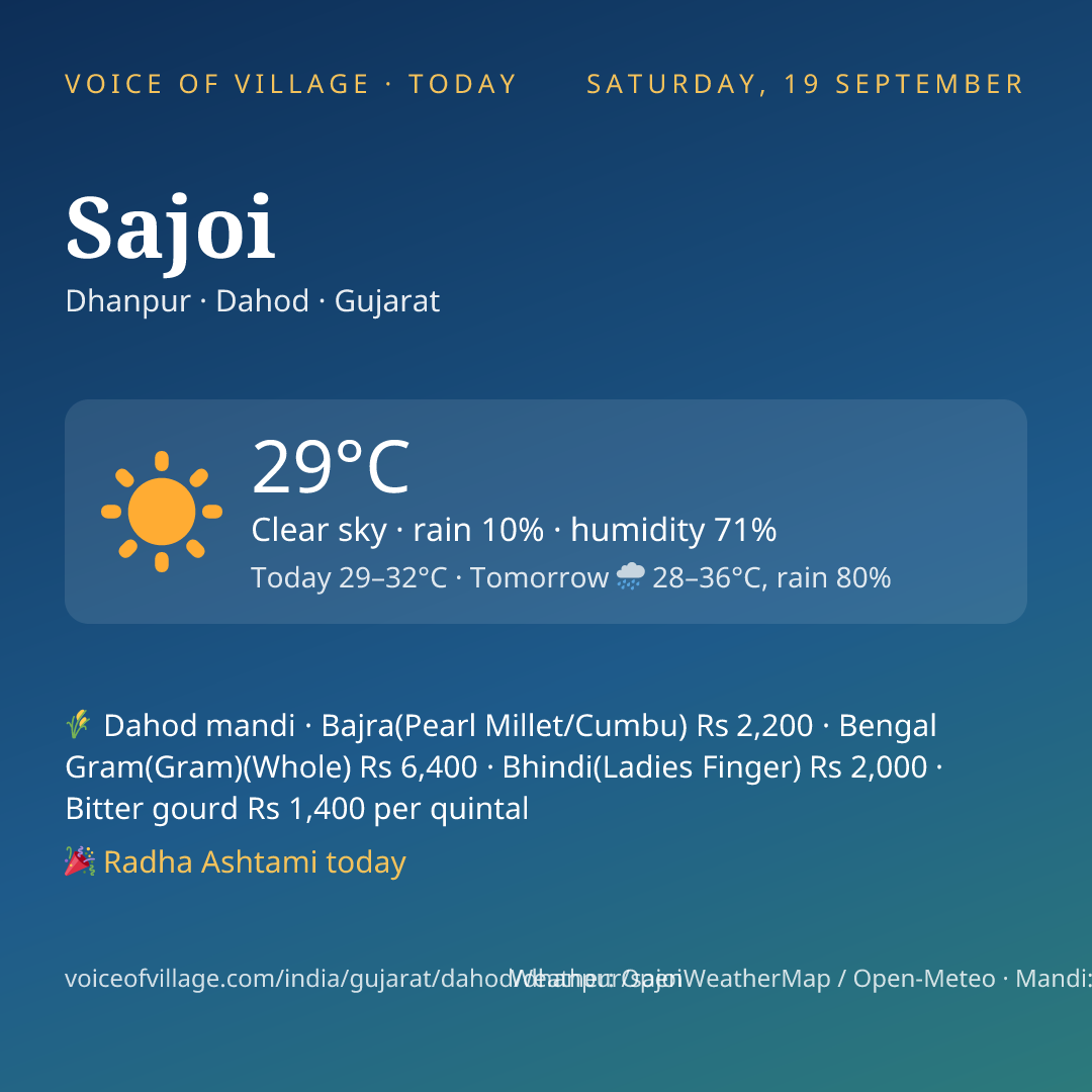 Sajoi today
