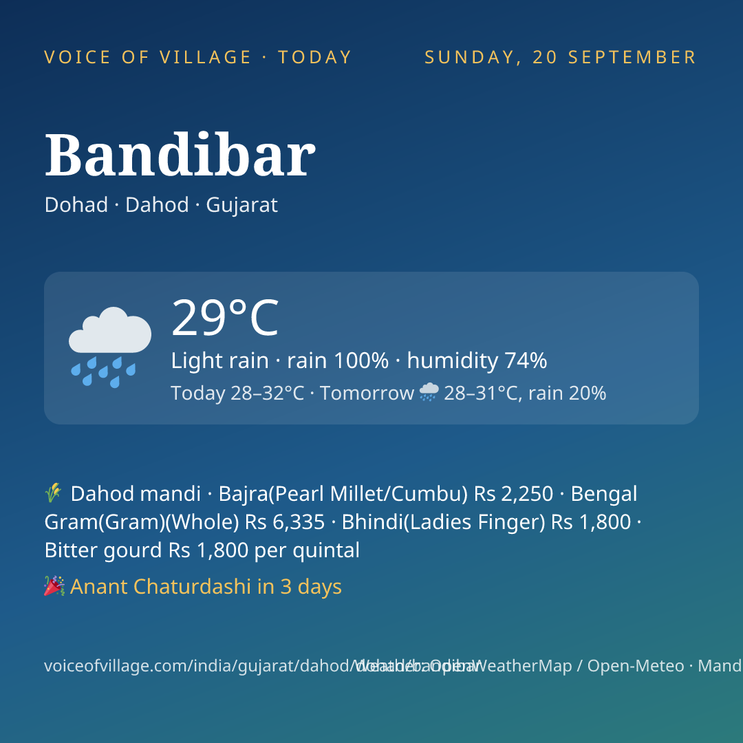 Bandibar today