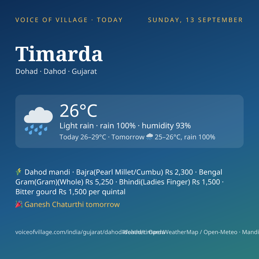 Timarda today