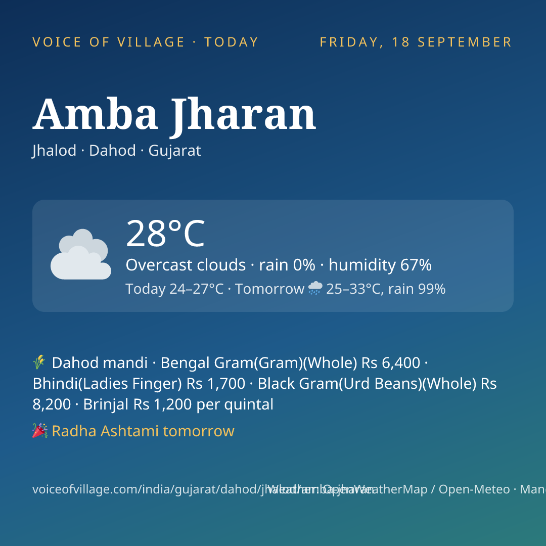 Amba Jharan today