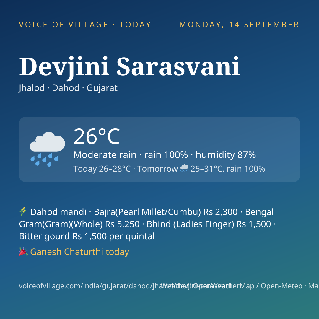 Devjini Sarasvani today