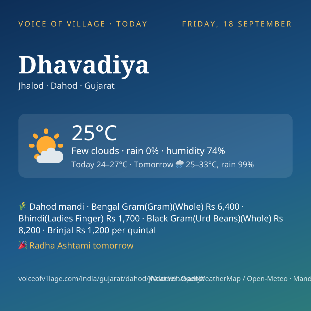 Dhavadiya today