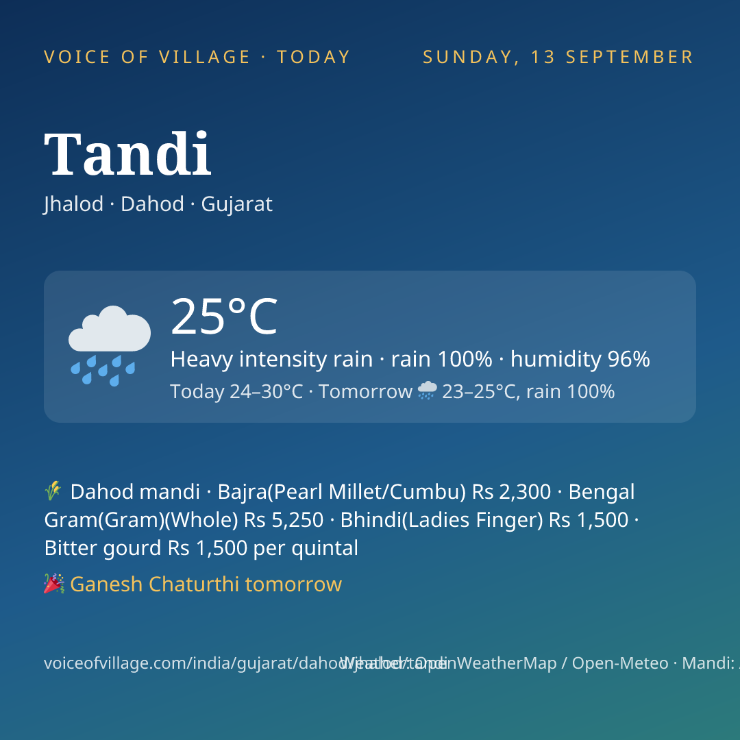 Tandi today