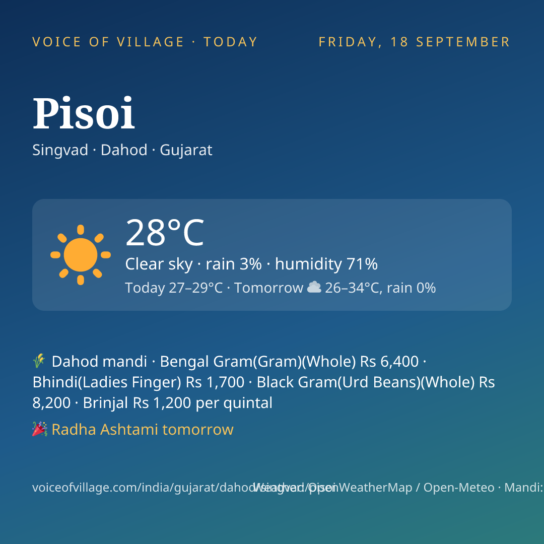 Pisoi today