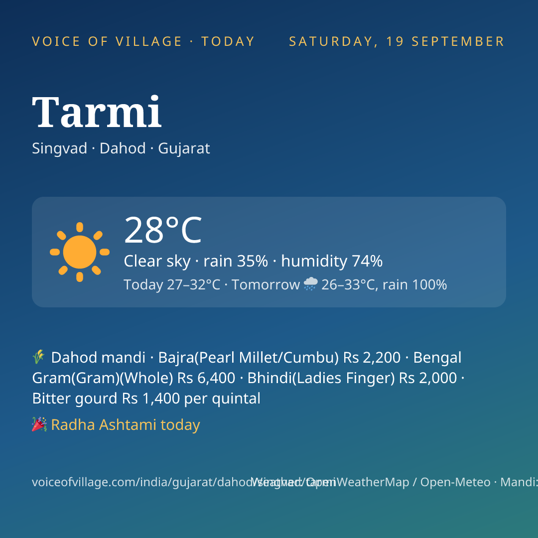 Tarmi today