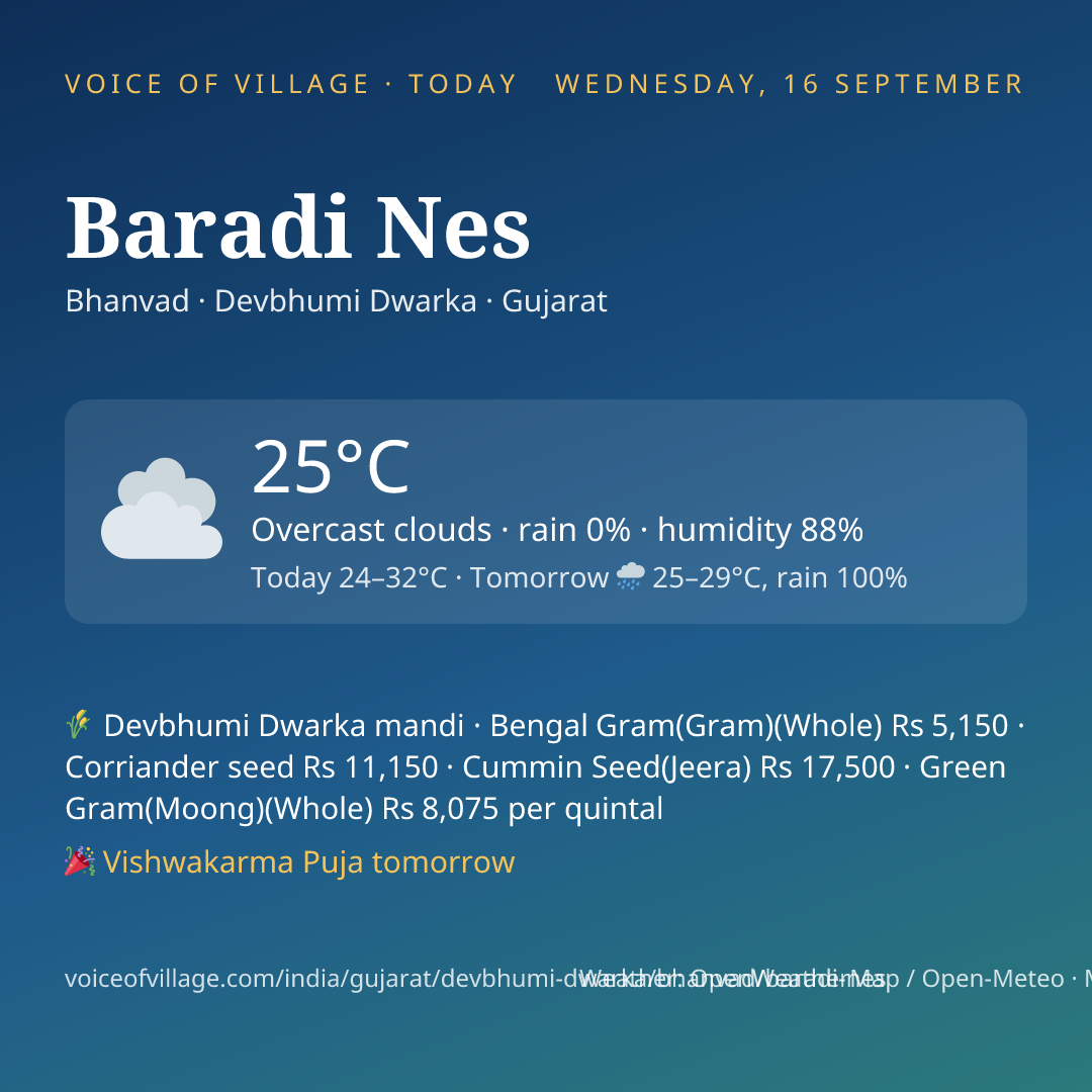 Baradi Nes today