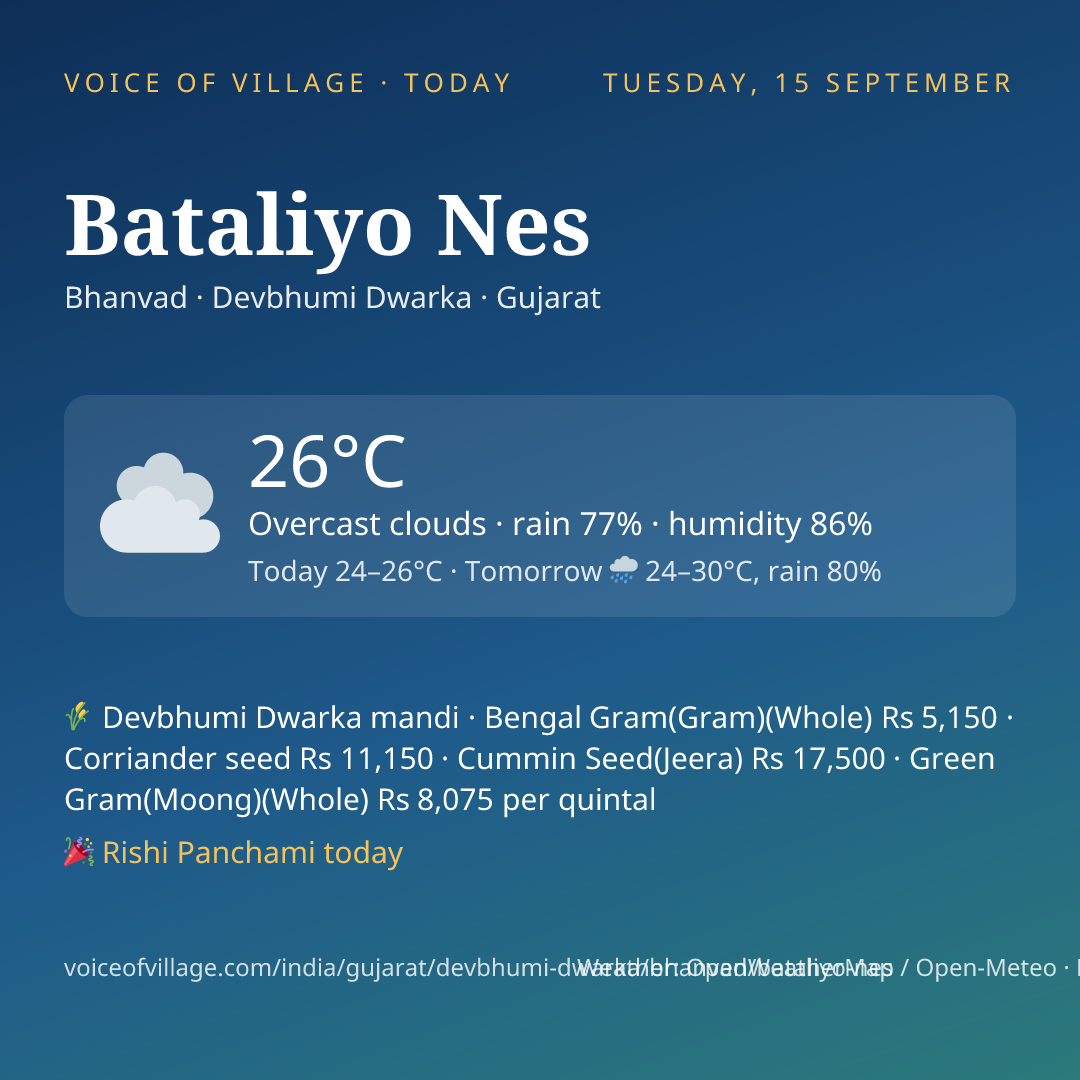 Bataliyo Nes today