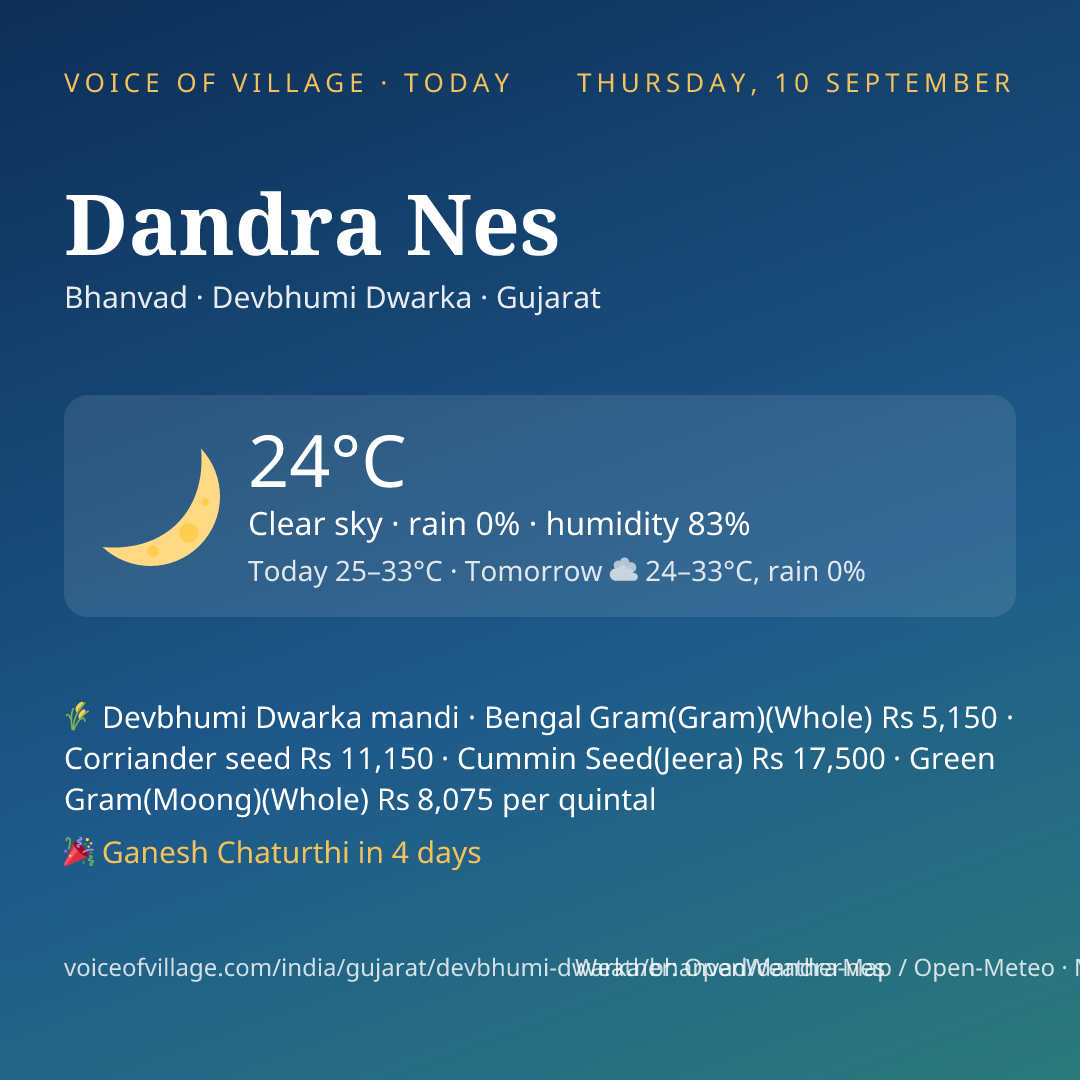 Dandra Nes today