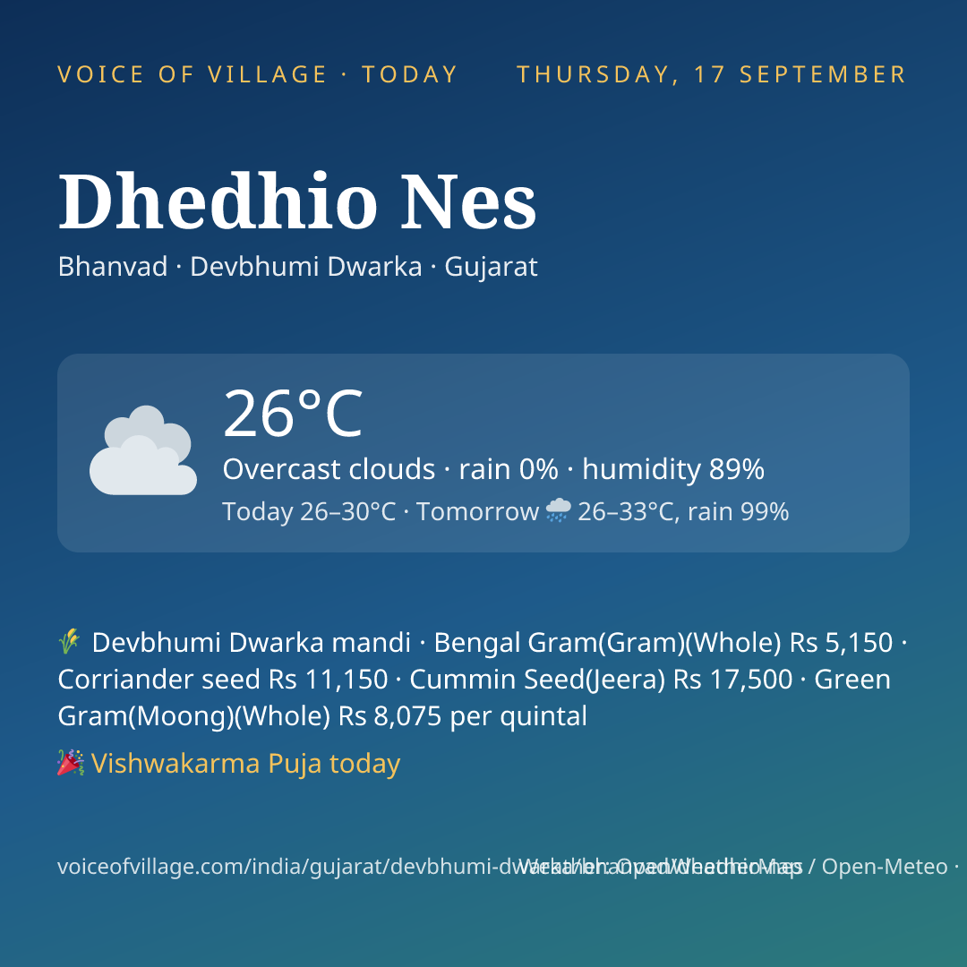 Dhedhio Nes today