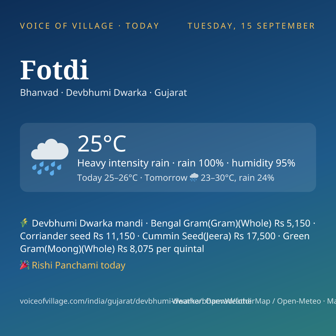 Fotdi today