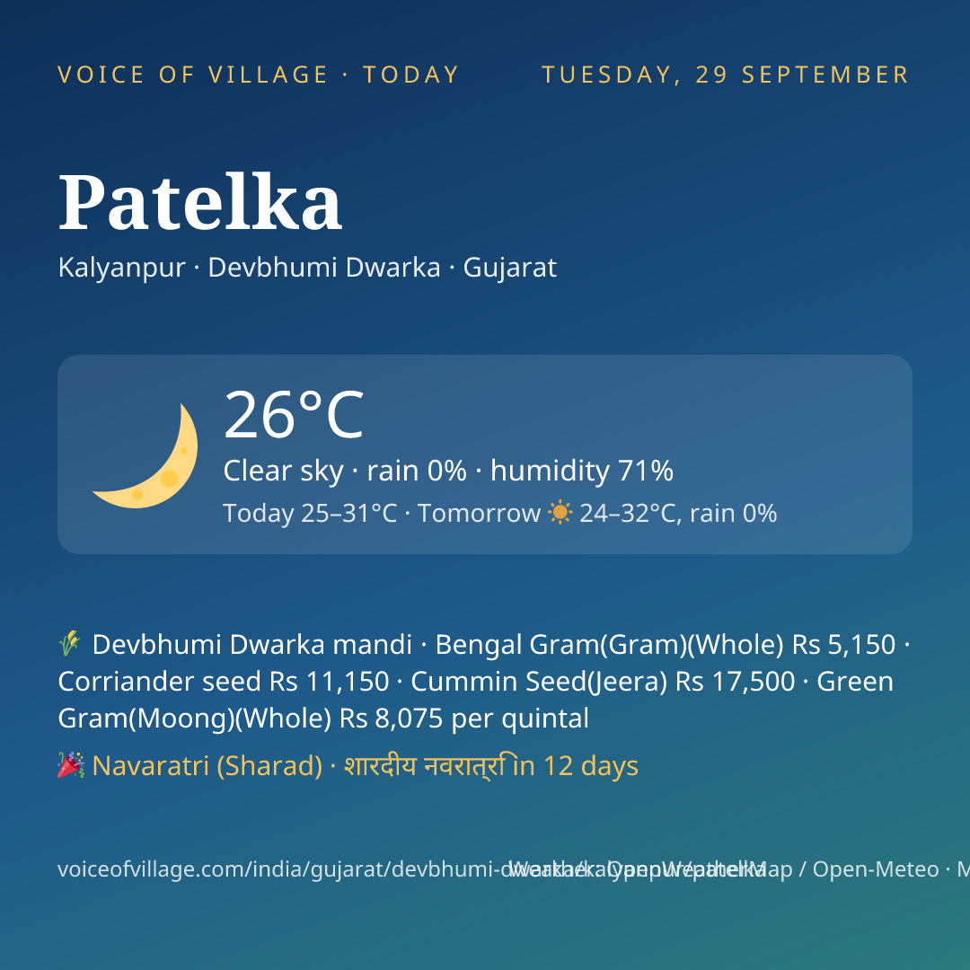 Patelka today