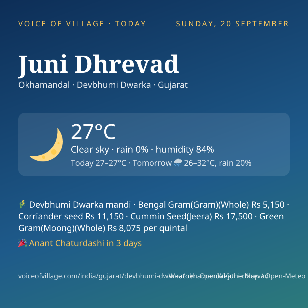 Juni Dhrevad today
