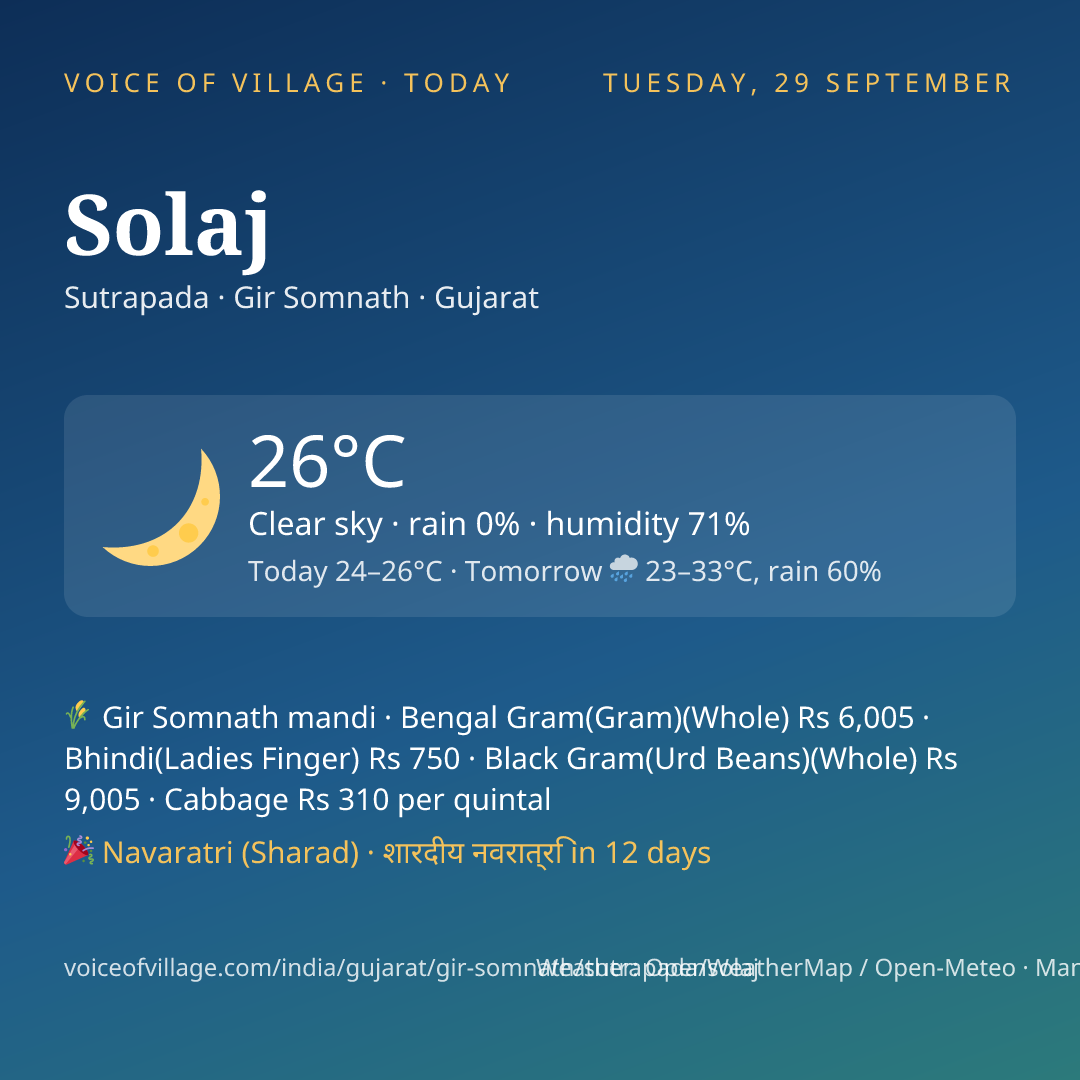 Solaj today