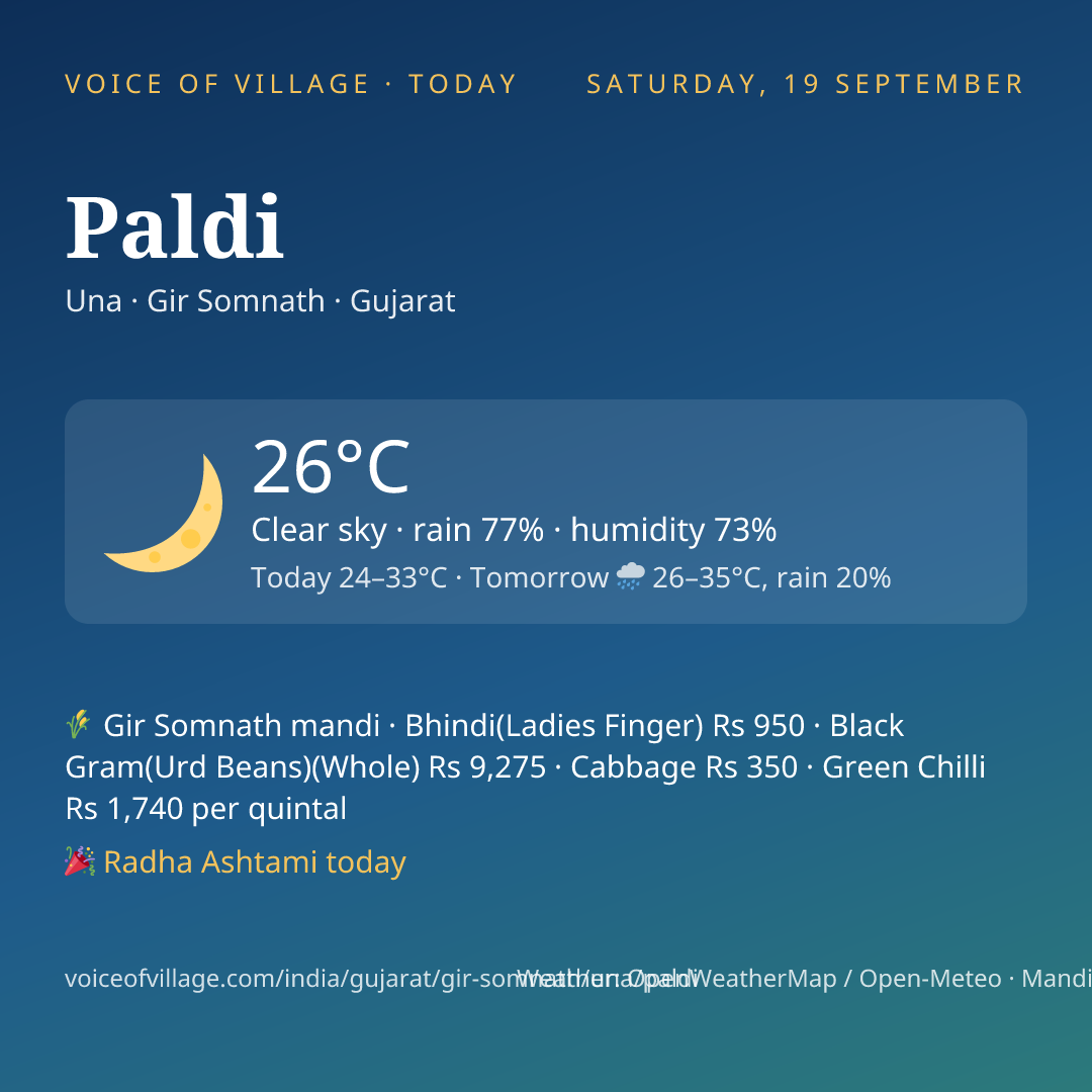 Paldi today