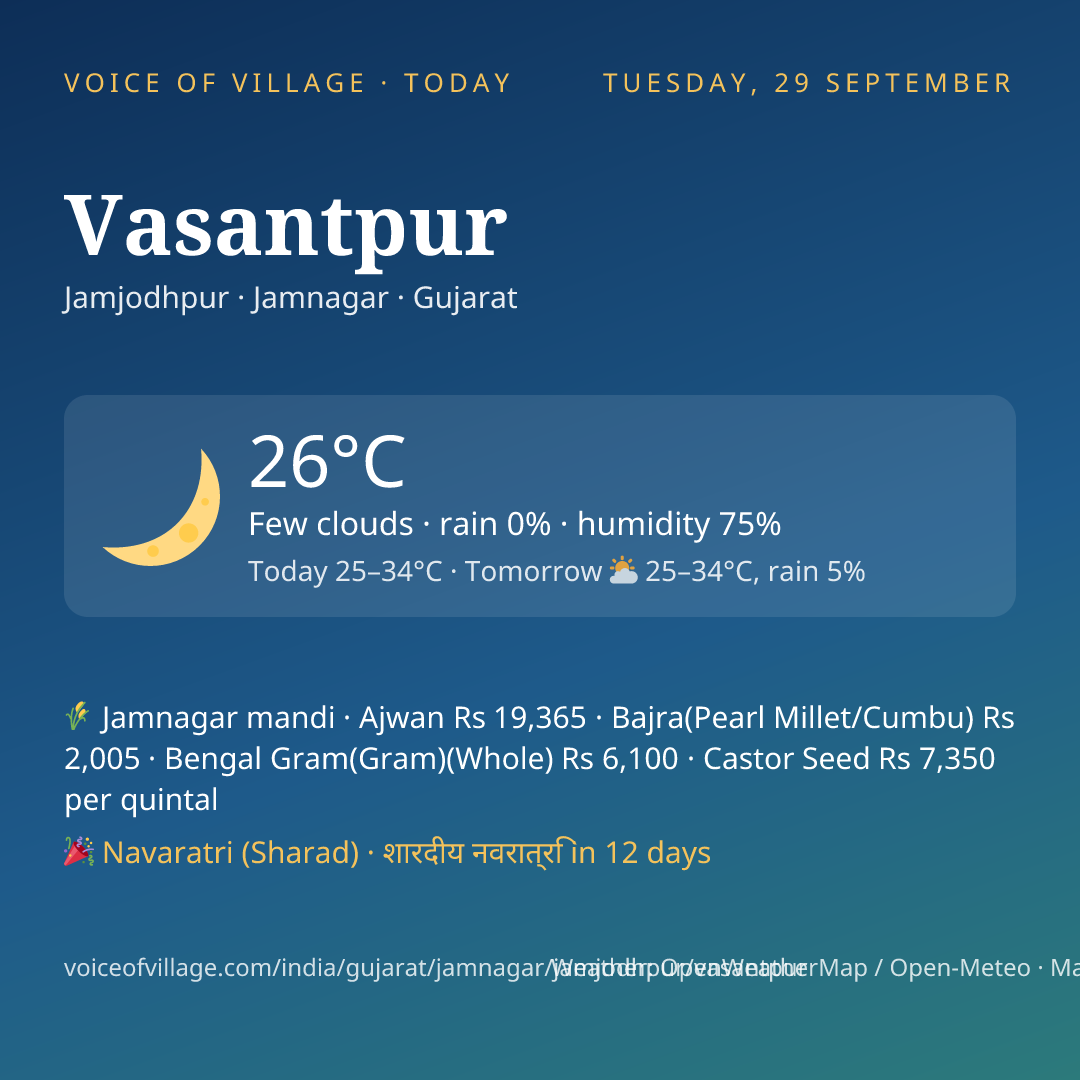 Vasantpur today