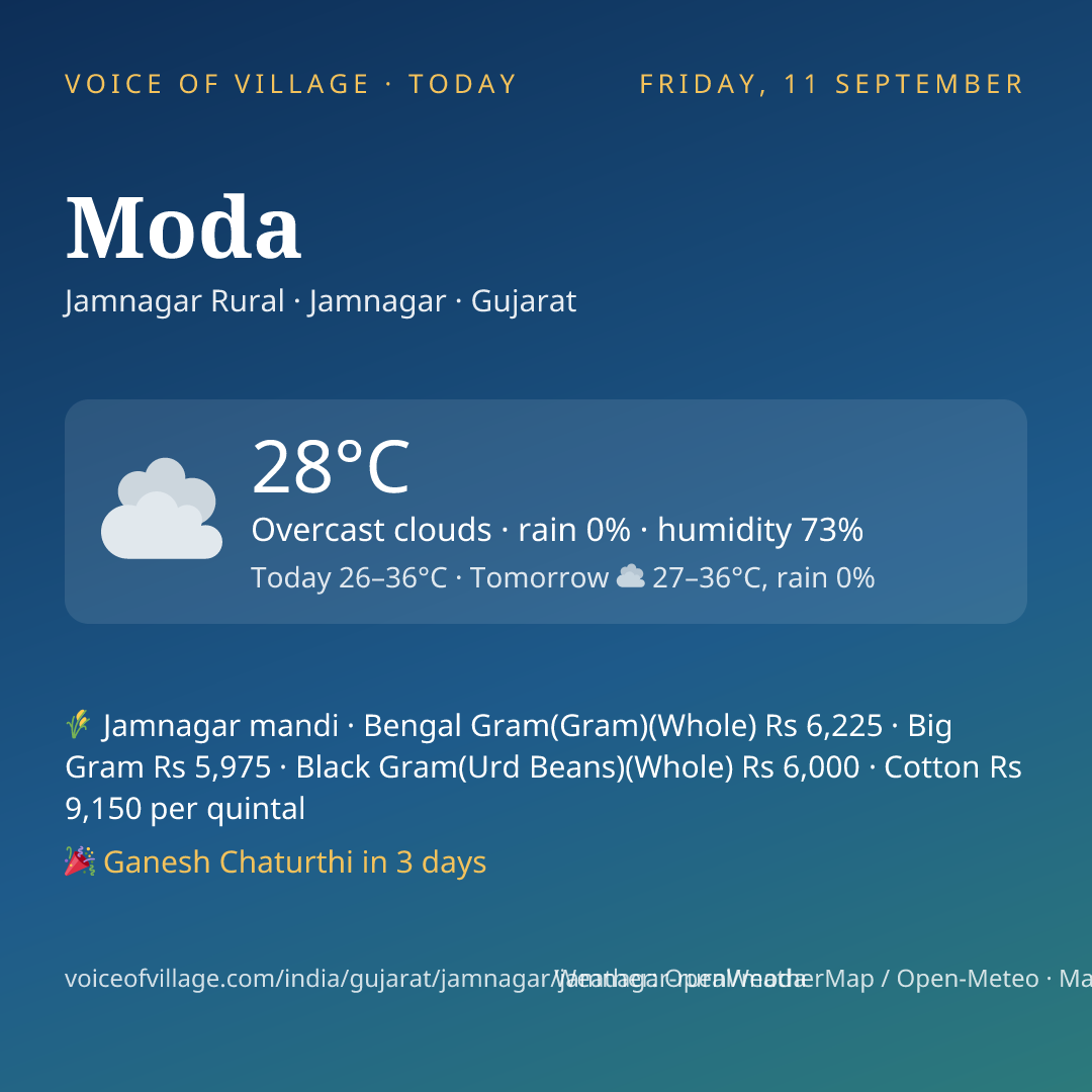 Moda today