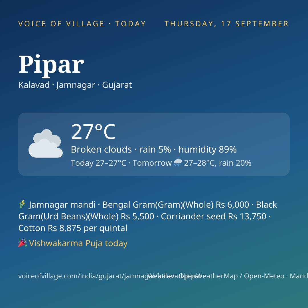 Pipar today
