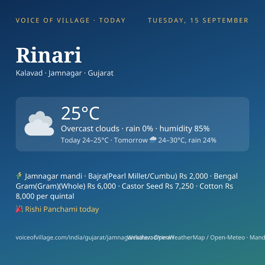 Rinari today