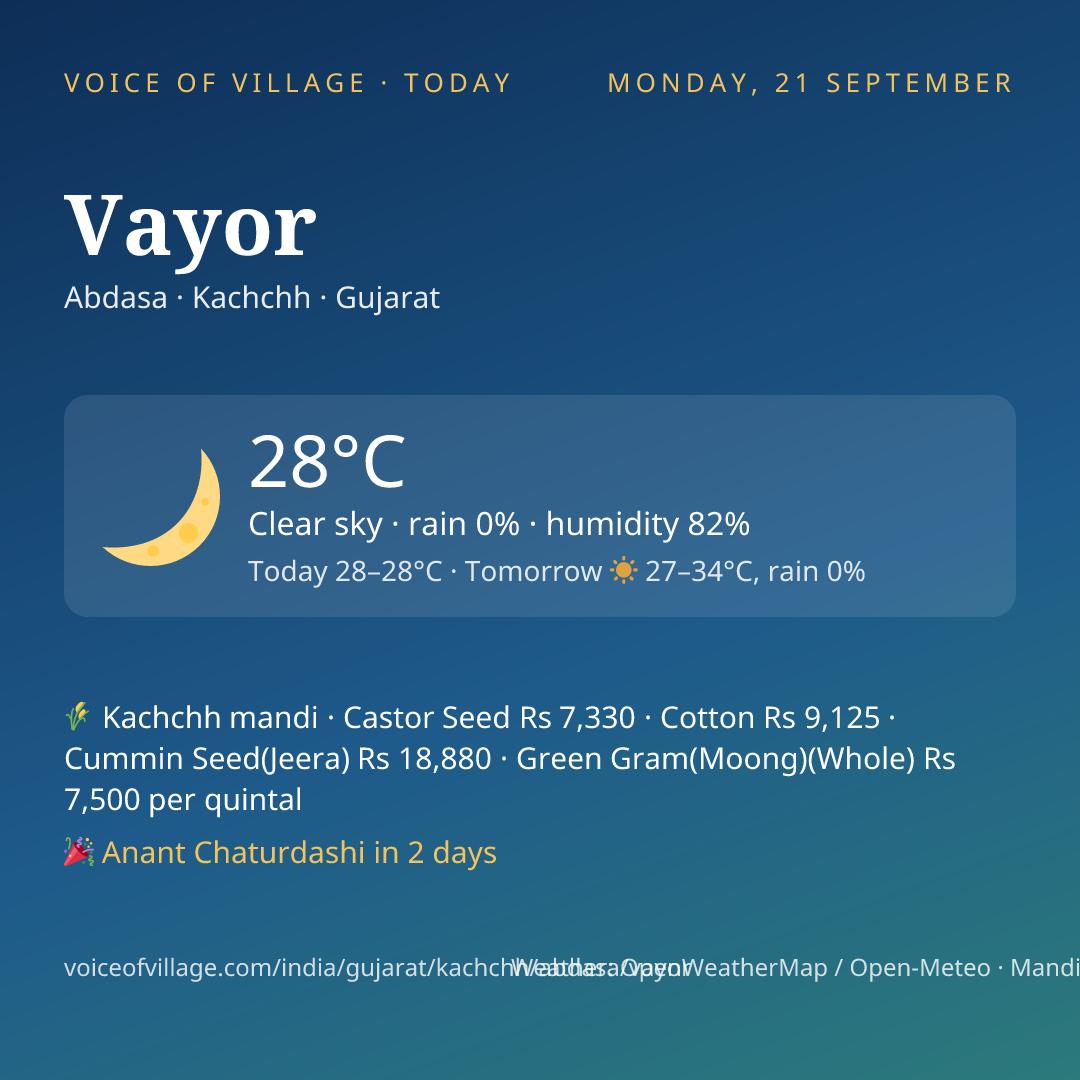 Vayor today