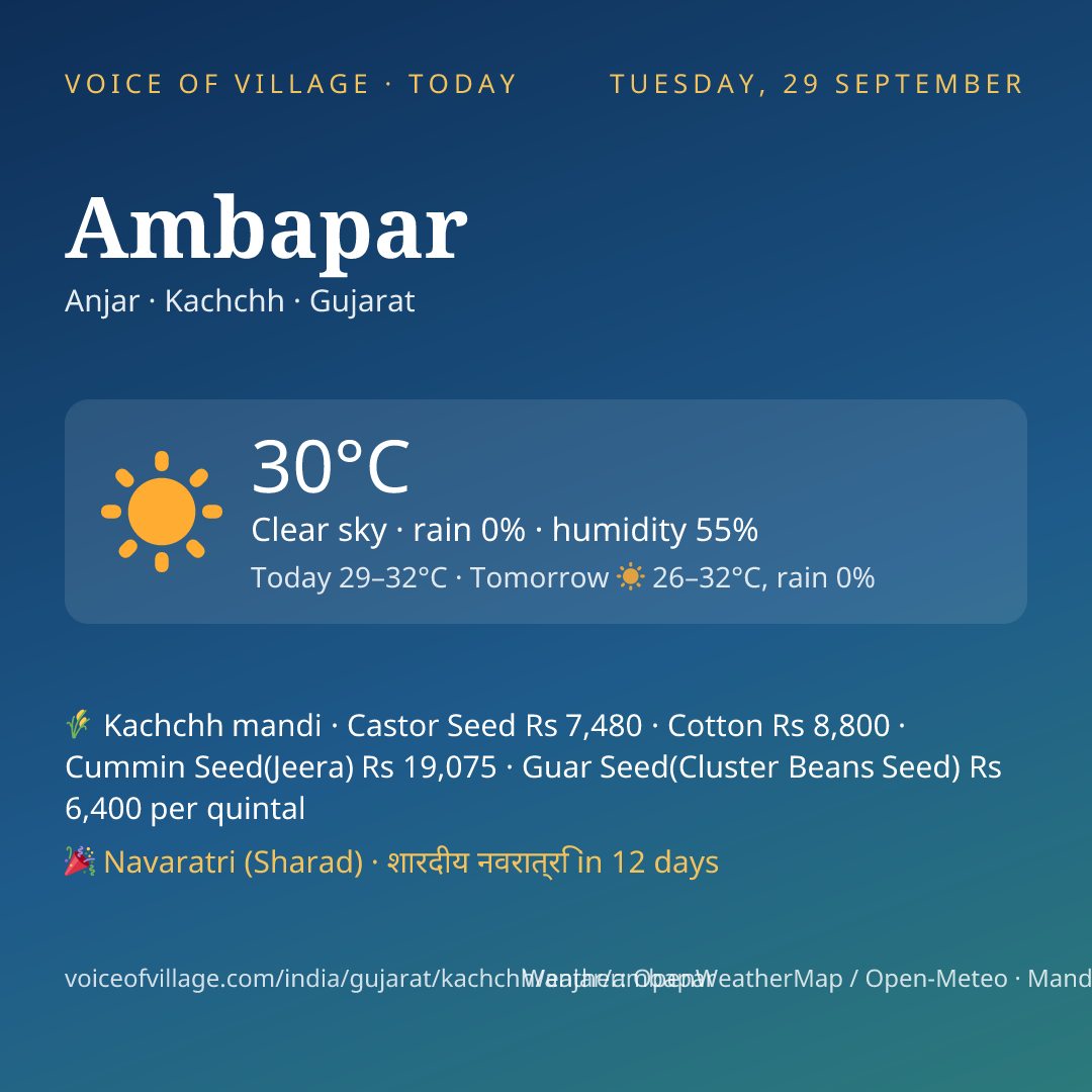 Ambapar today