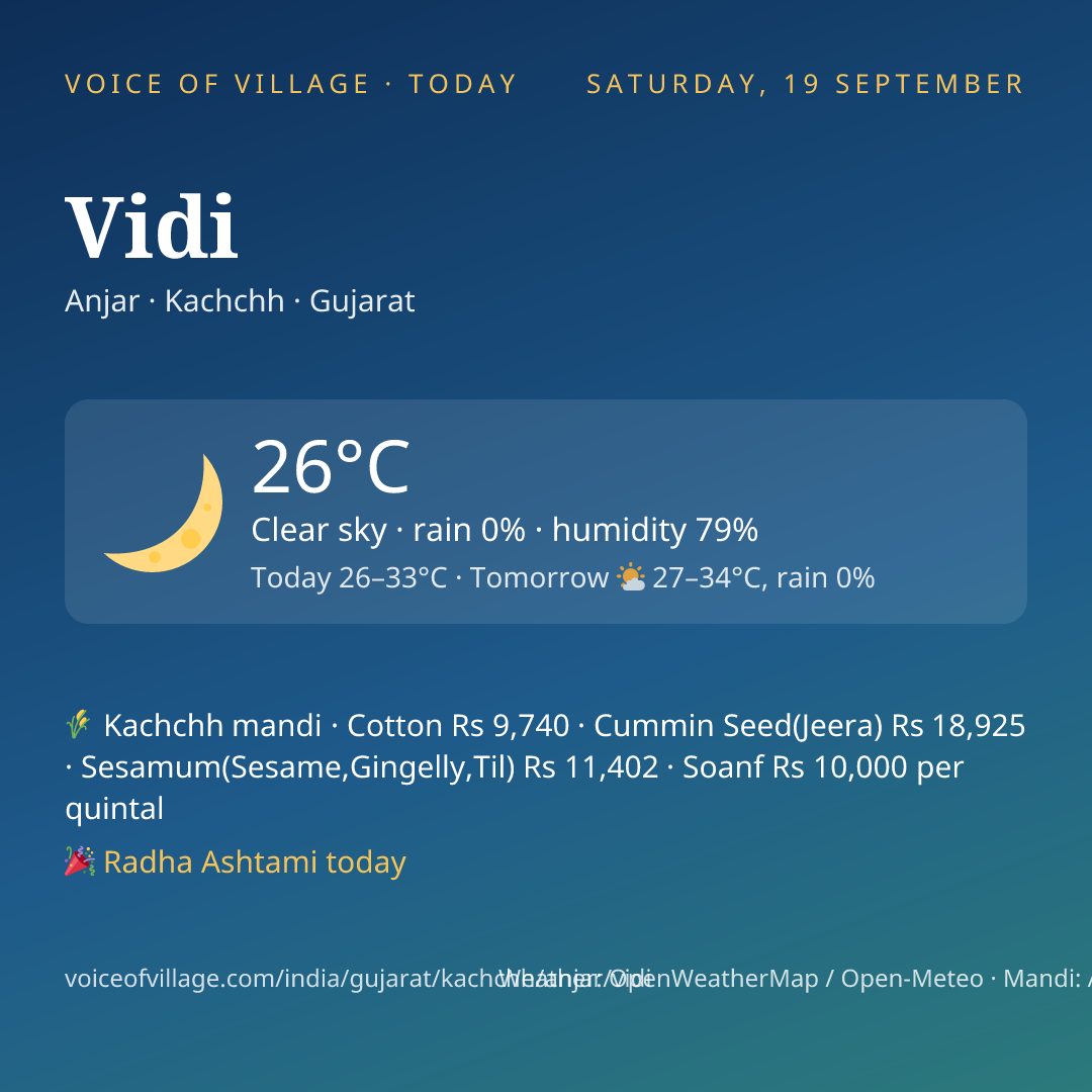 Vidi today