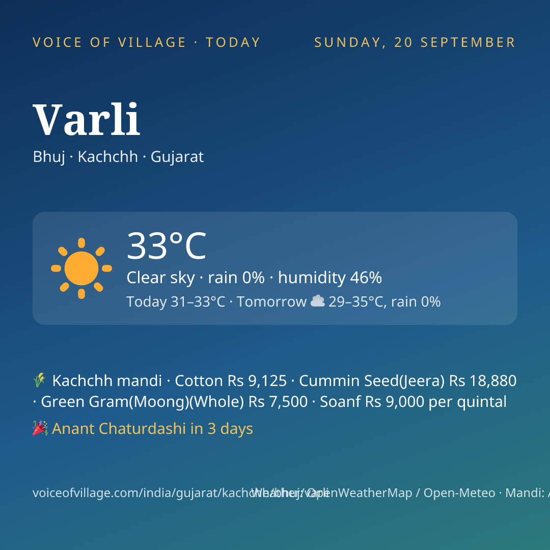 Varli today