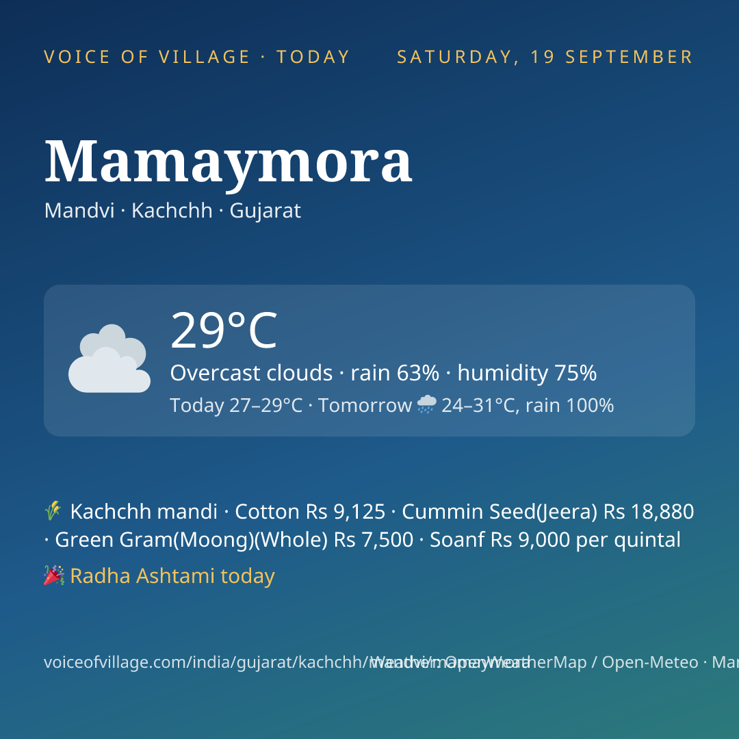 Mamaymora today