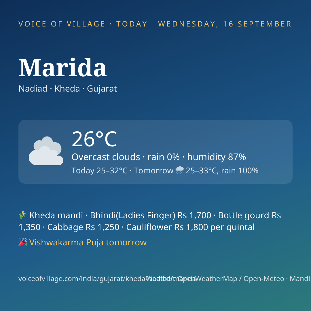 Marida today