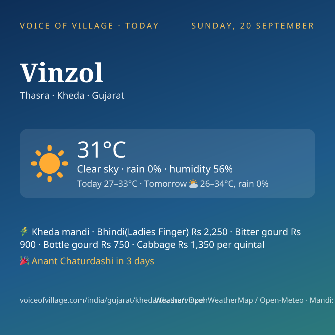 Vinzol today