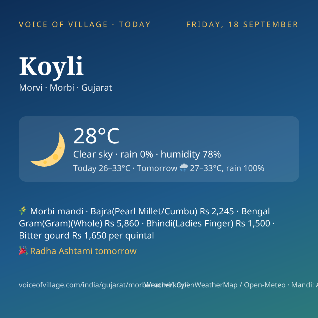 Koyli today