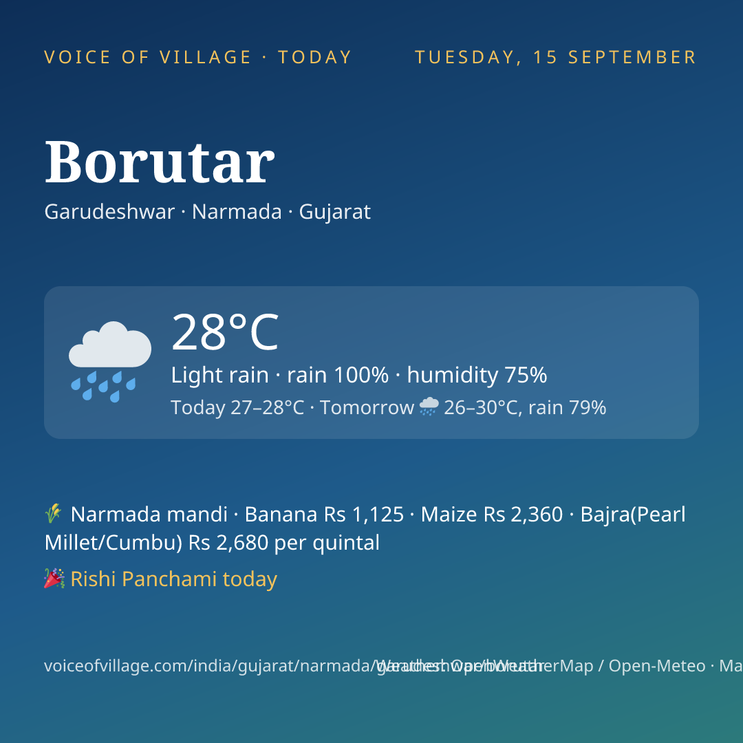 Borutar today