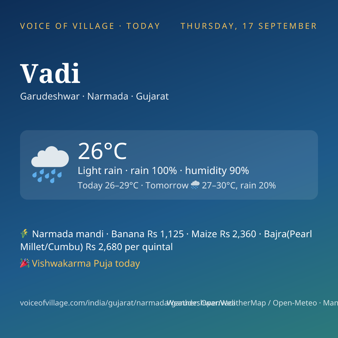 Vadi today