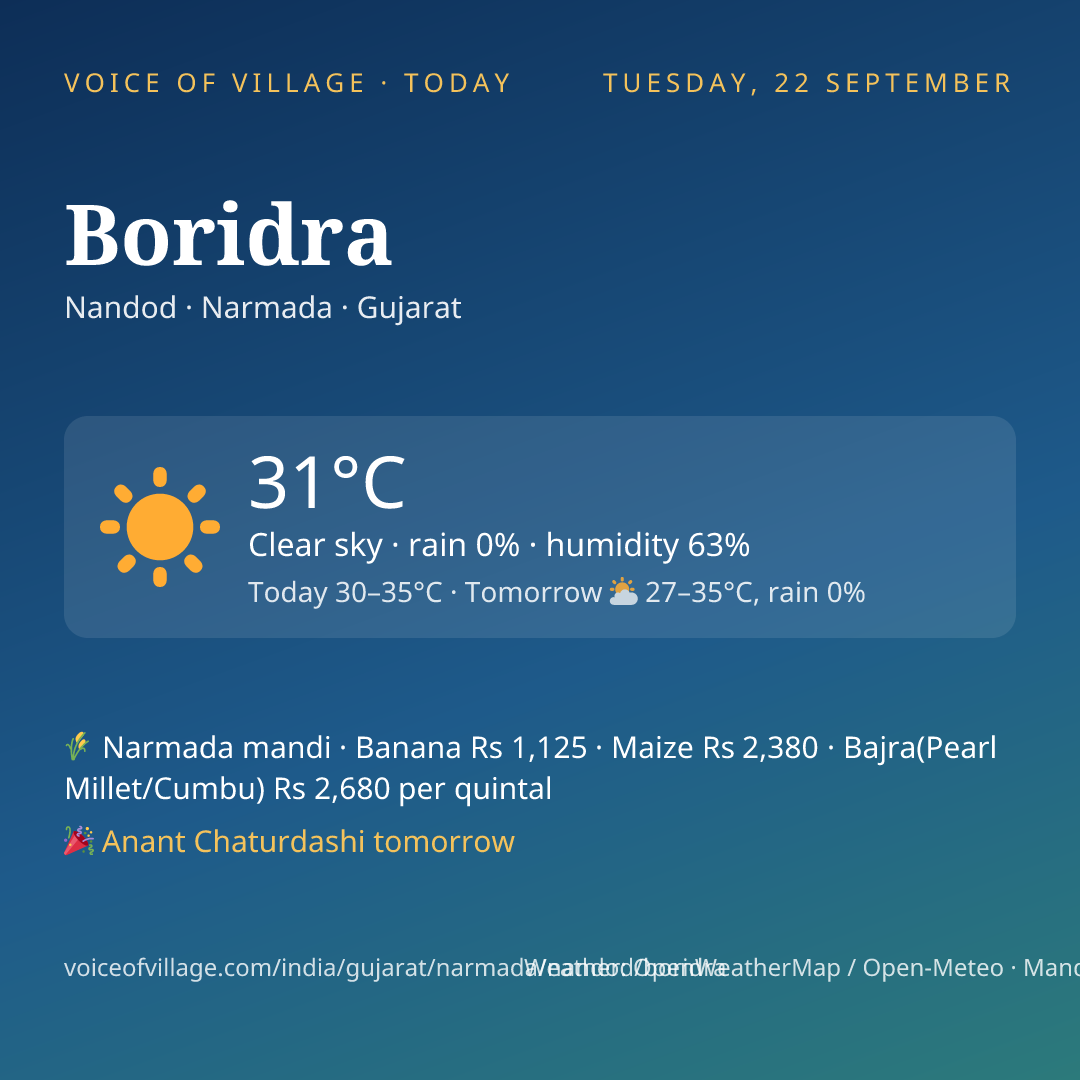 Boridra today