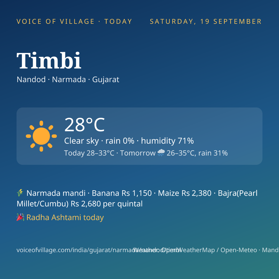 Timbi today