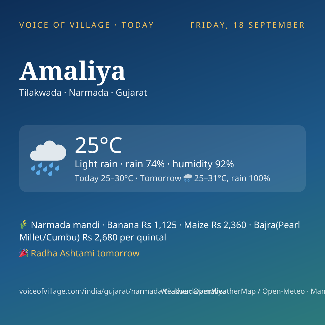 Amaliya today