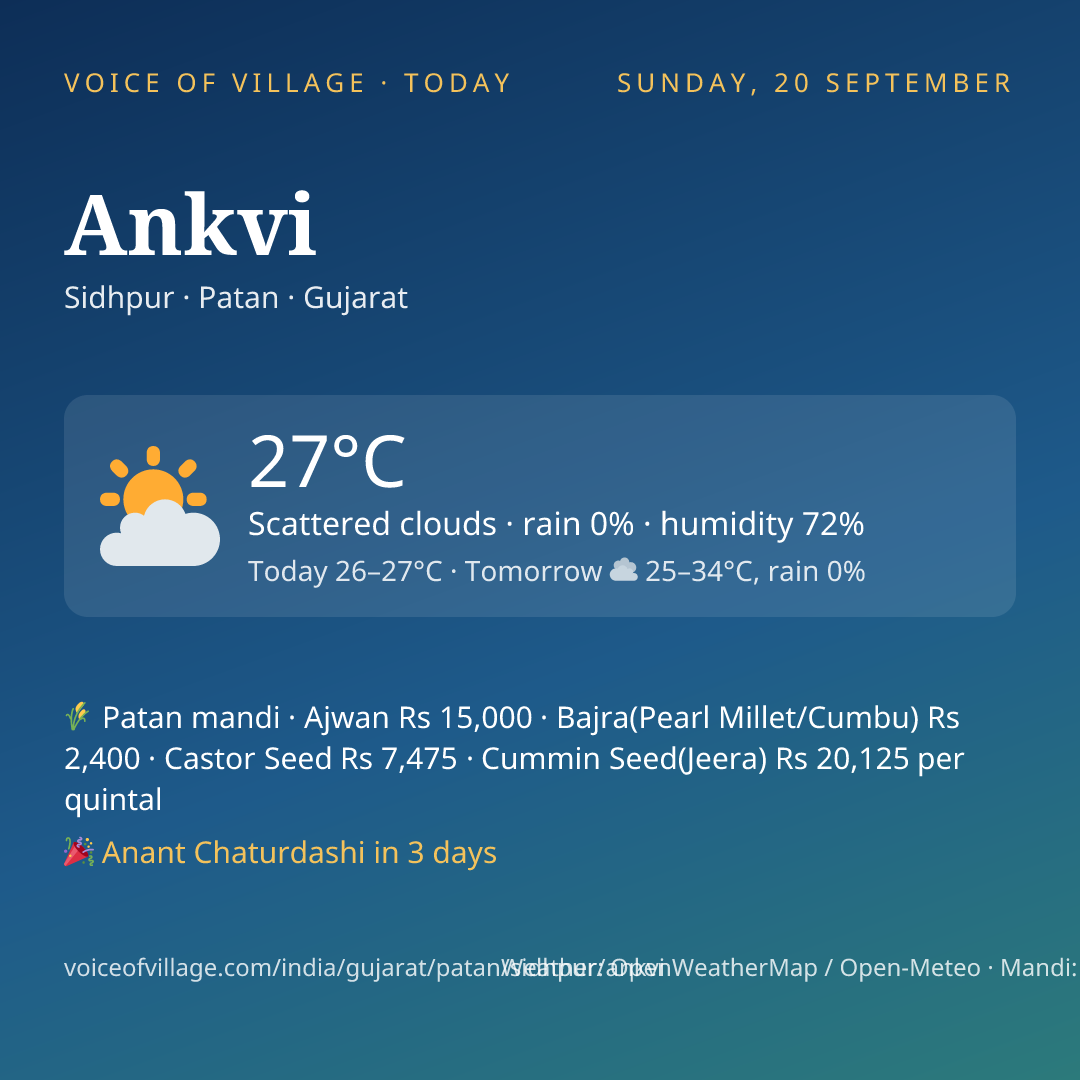 Ankvi today