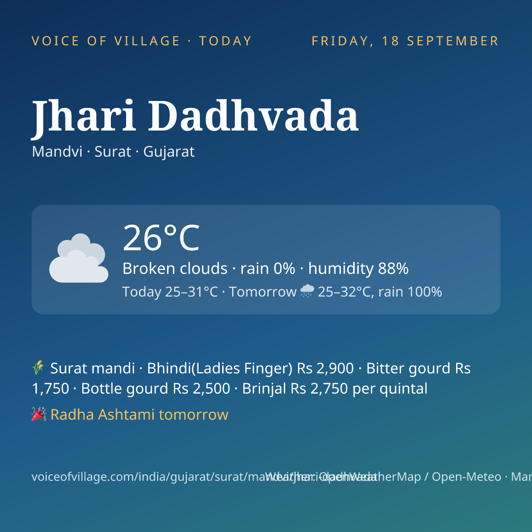 Jhari Dadhvada today