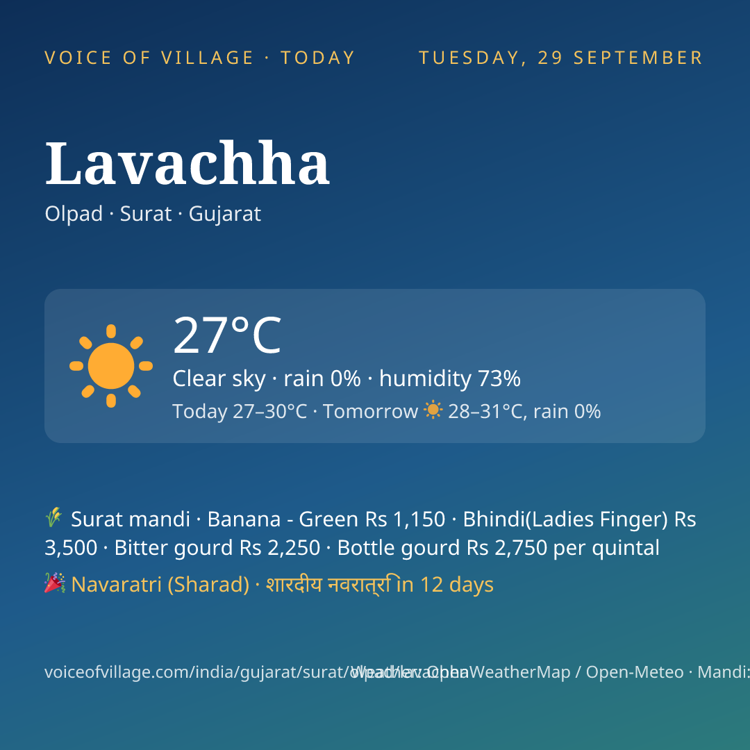 Lavachha today