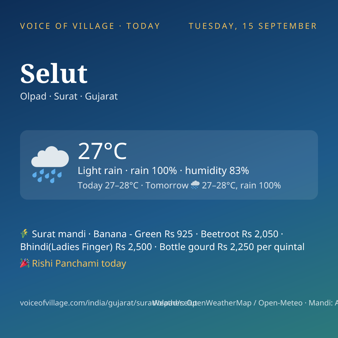 Selut today