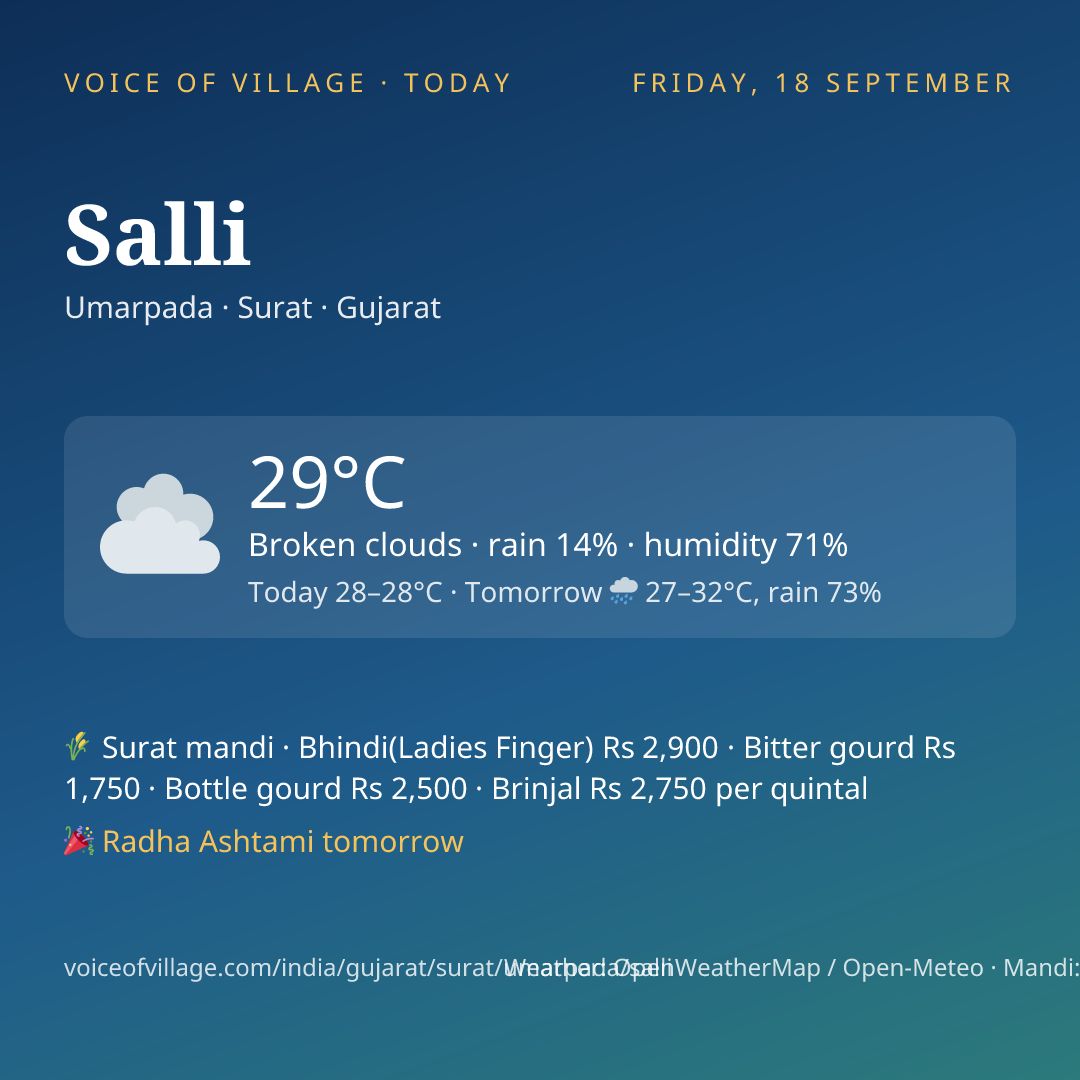 Salli today
