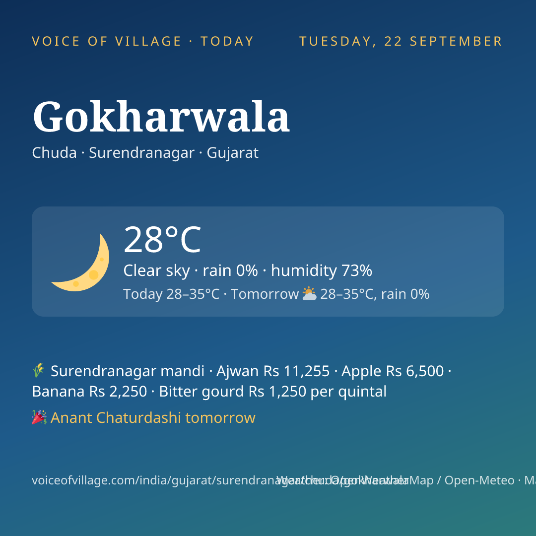 Gokharwala today
