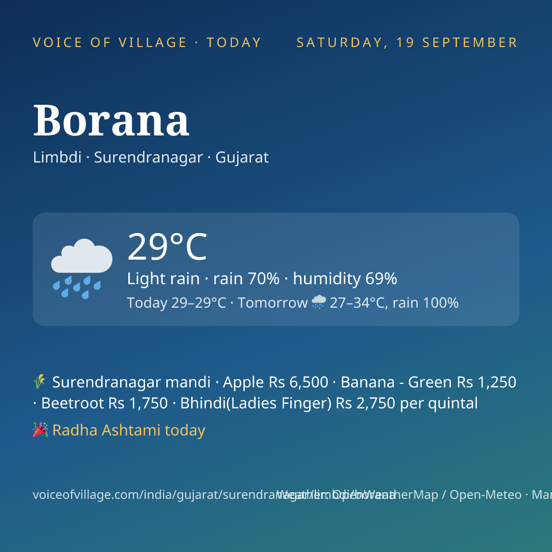 Borana today