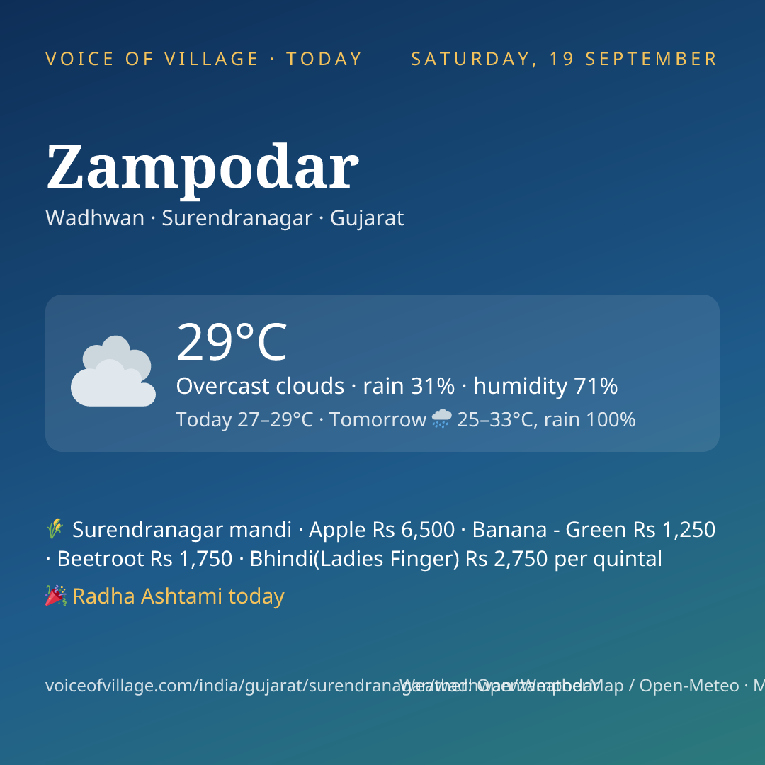 Zampodar today