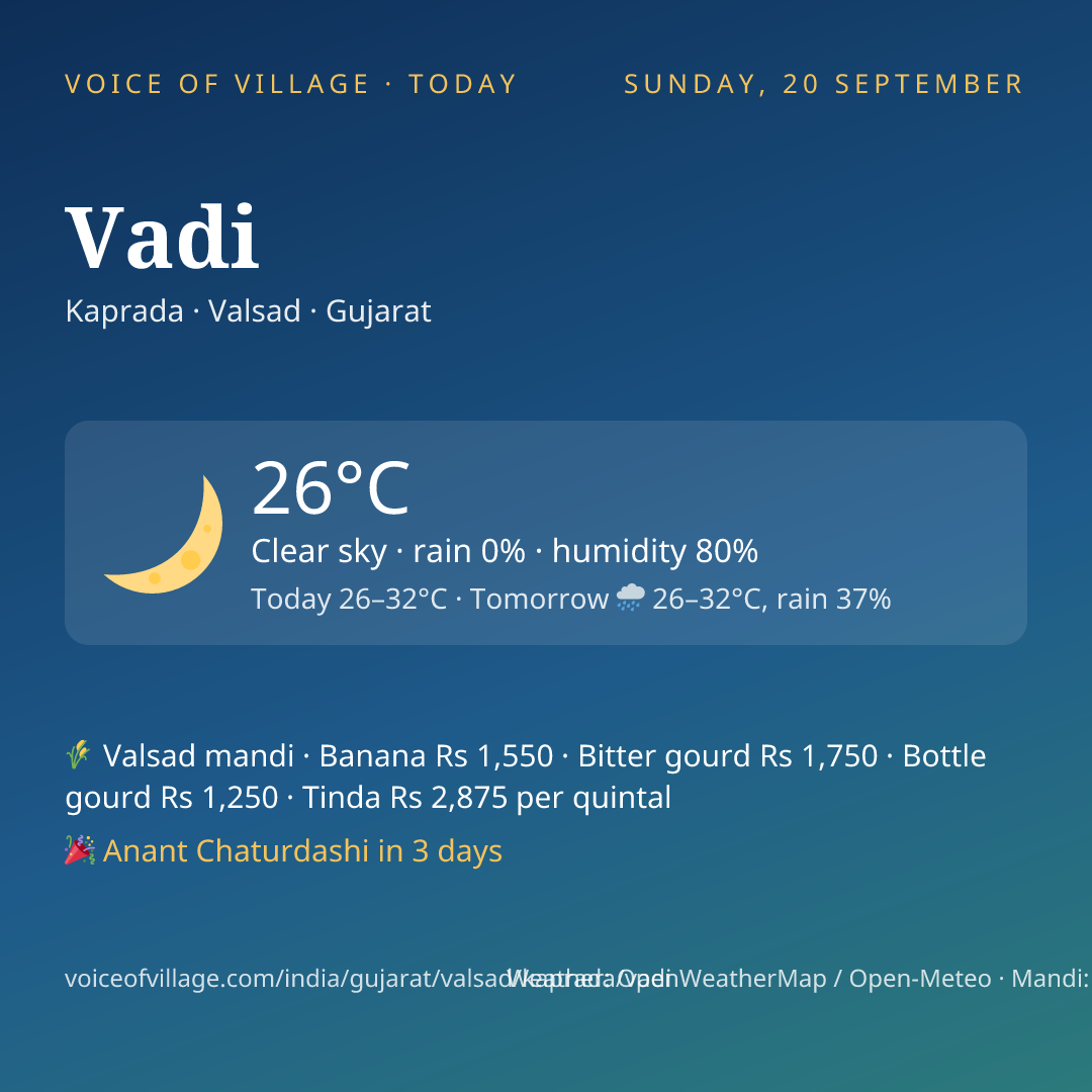 Vadi today