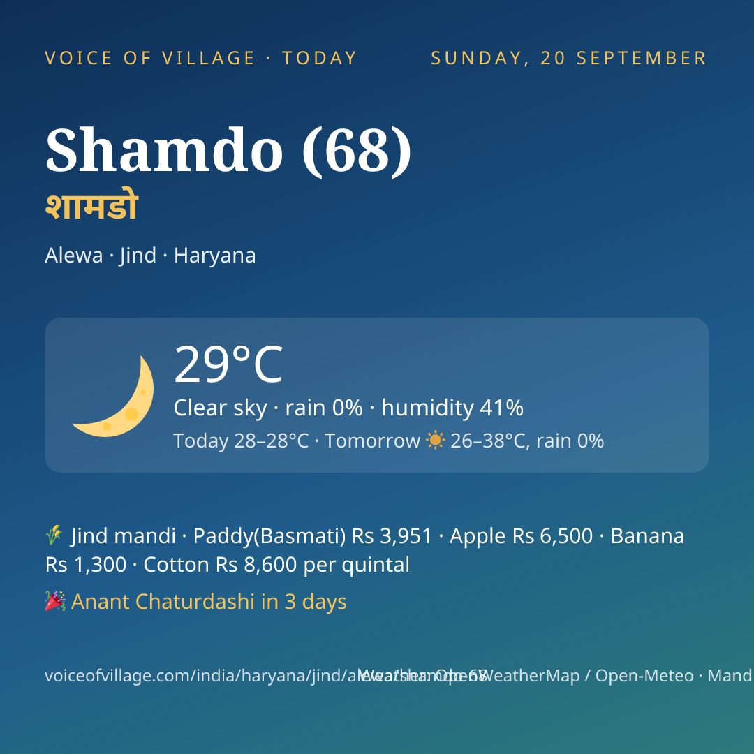 Shamdo (68) today